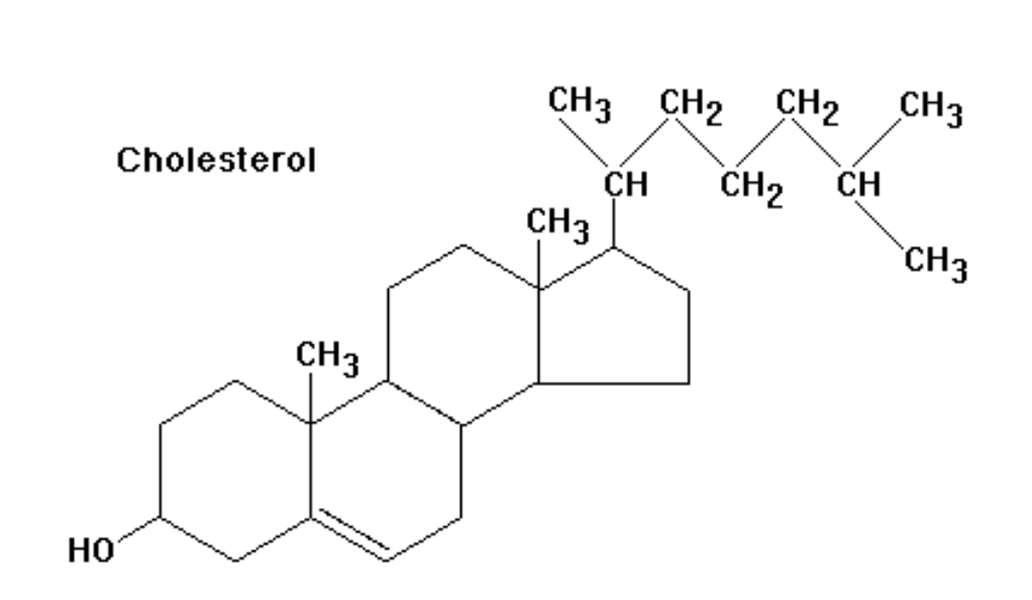 cholesterol 18