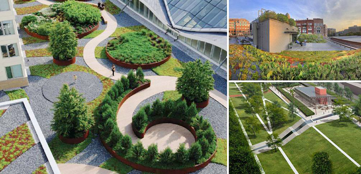 green_roof_cities