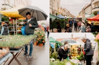 Štvordňový trh Májový kvet prinesie do Trnavy tisícky kvetov