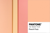 Peach Fuzz je farbou roka 2024
