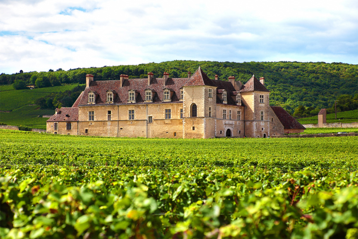 burgundy_freepik