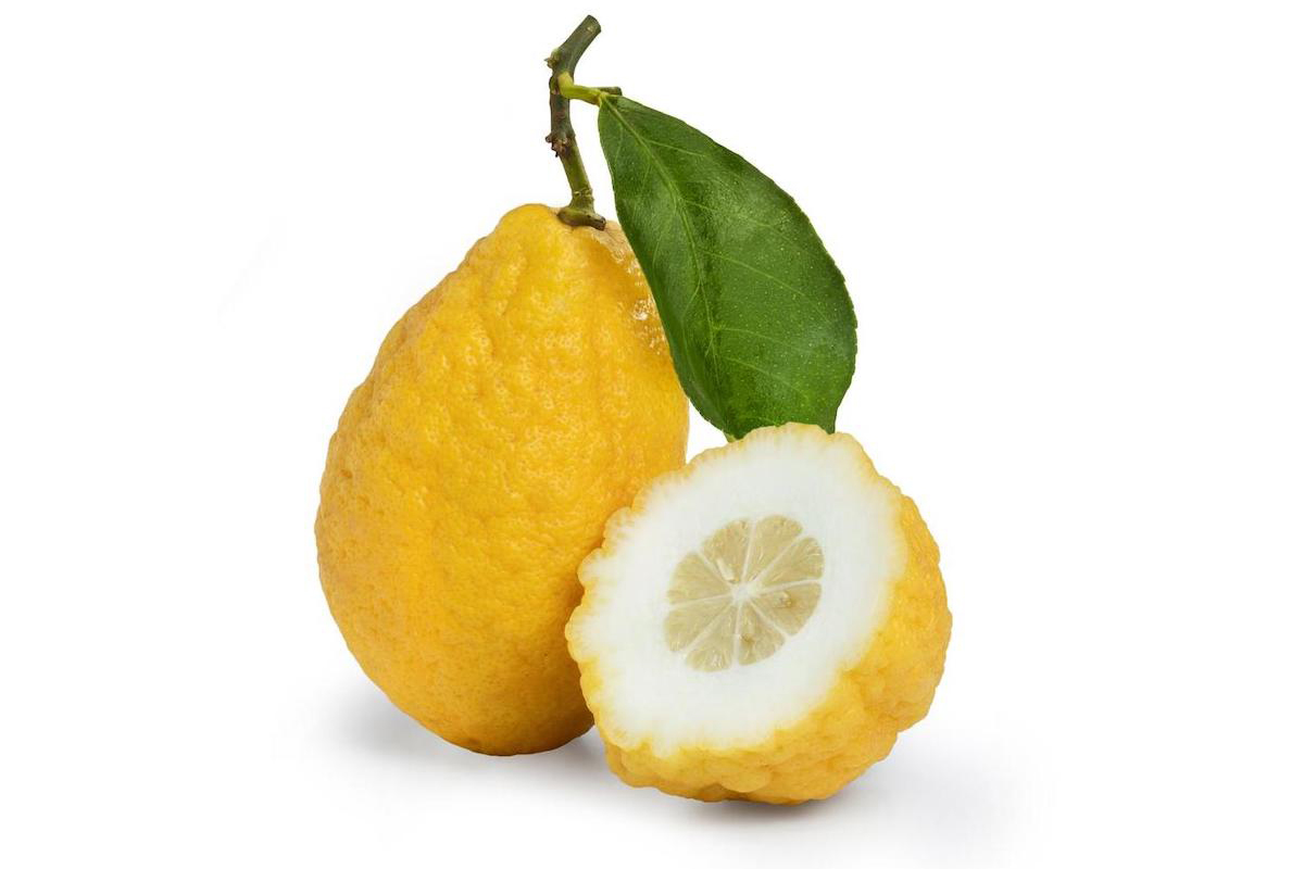 cedrat_medica