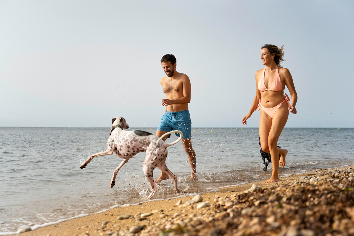 freepik_dogs_on_beach25