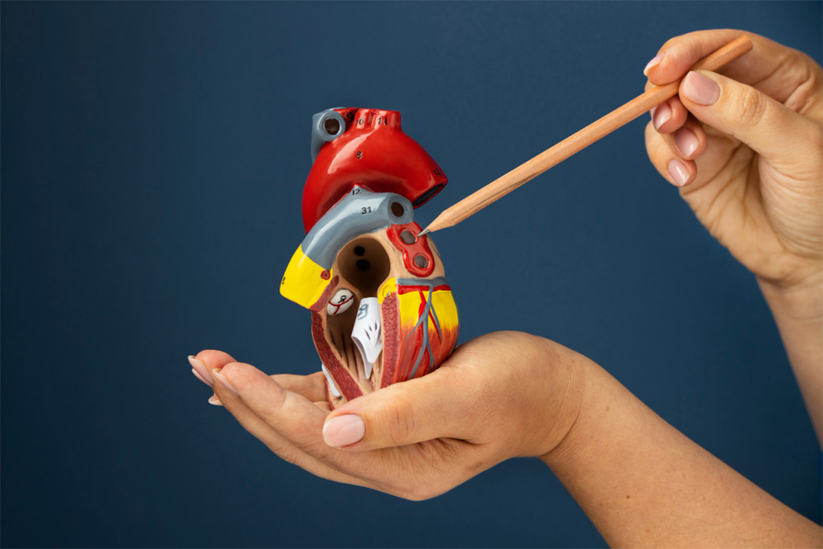 freepik_heart_cholesterol