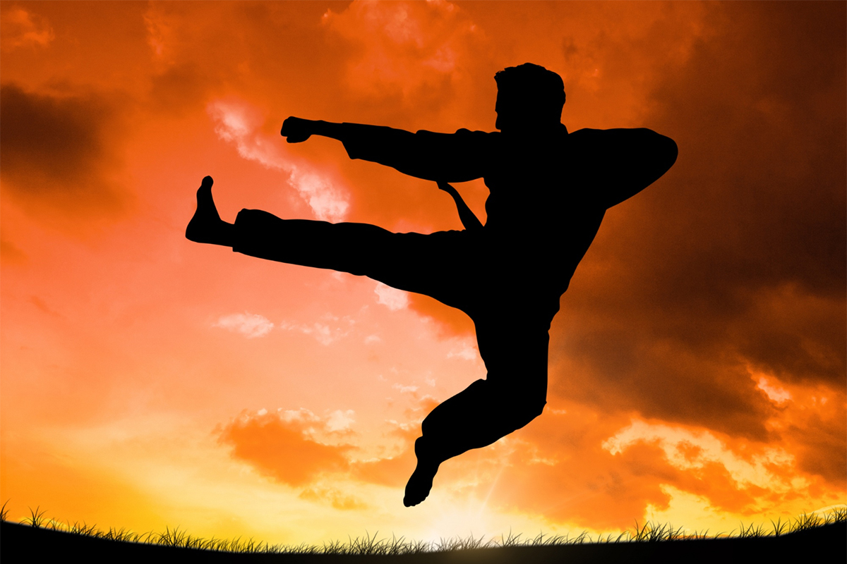 freepik_karate_man25