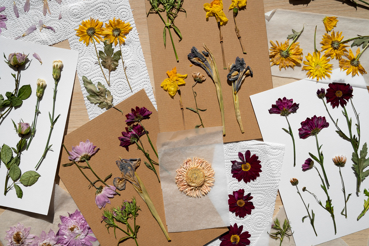 freepik_pressed_flowers