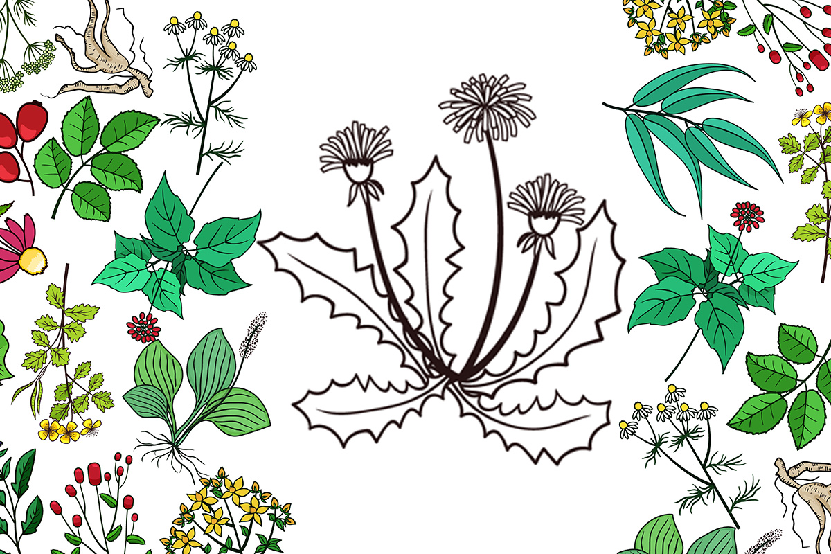 freepik_spring_herbs_26