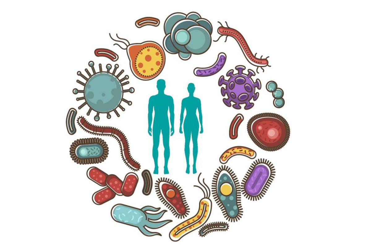 human_microbiome_1221