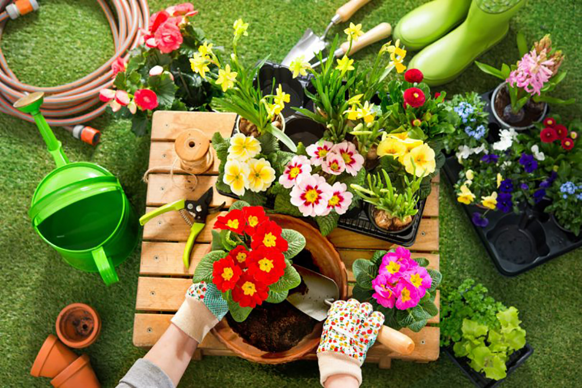 istock_jar_3_zahrada21