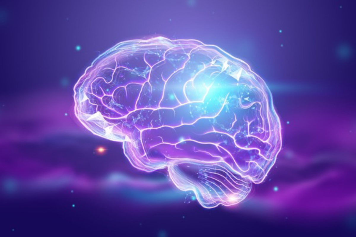 istockphoto_brain_23