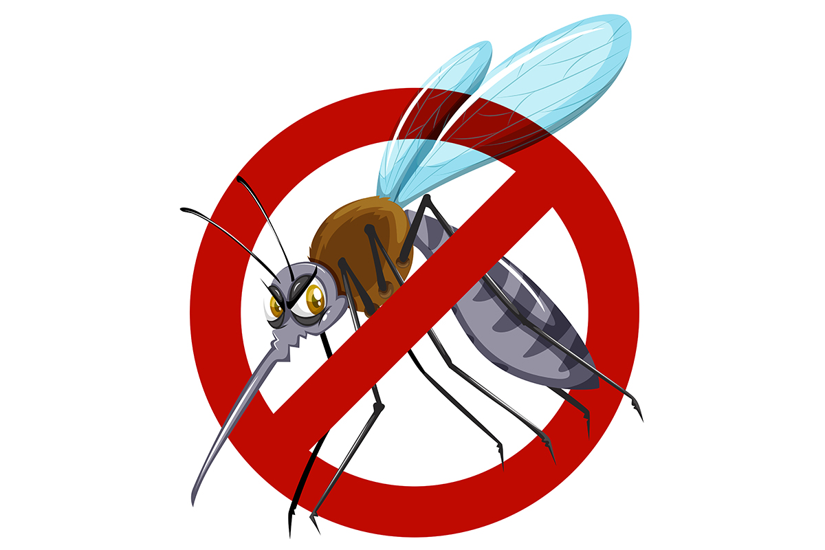 magnific_malaria_komar