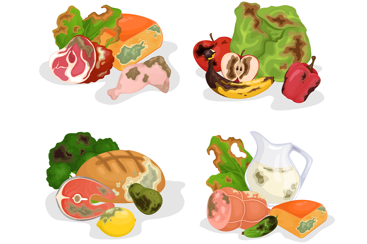 magnific_moldy_food_26