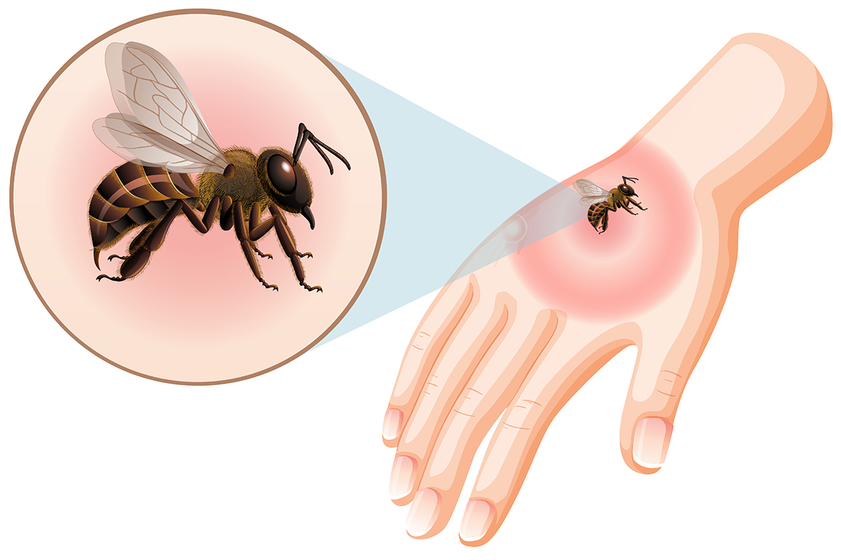 magnific_wasp_26