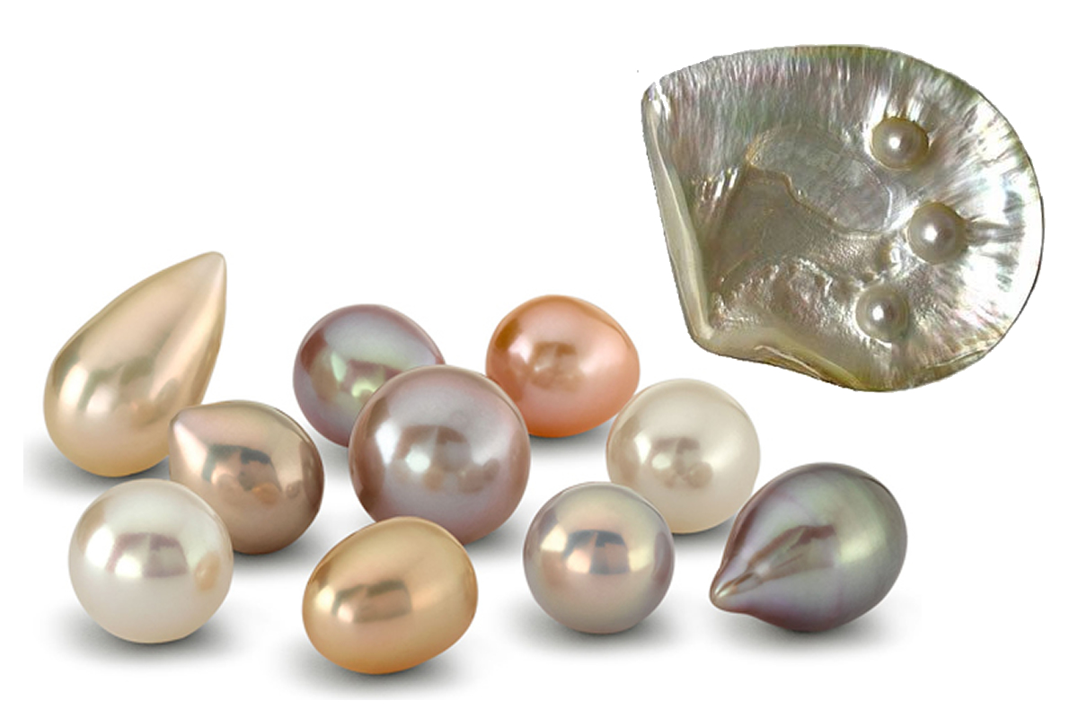 perly 1200x800
