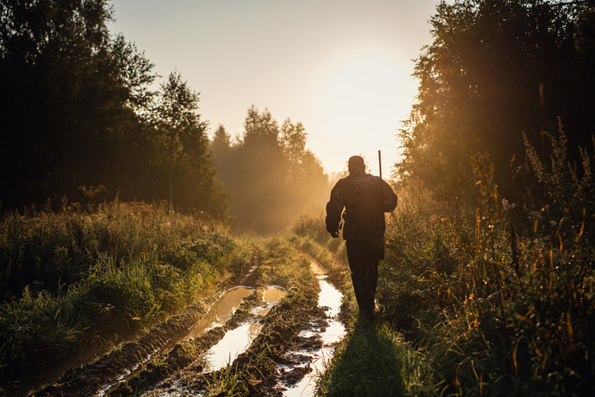 shutterstock_polovnik21
