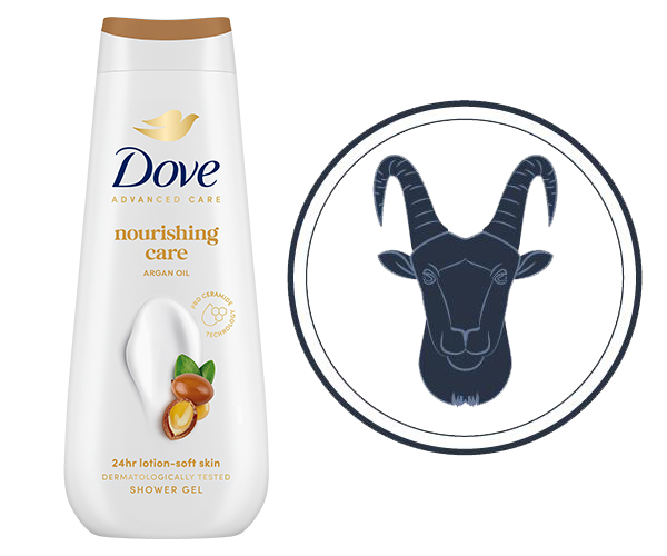 10_dove_21626
