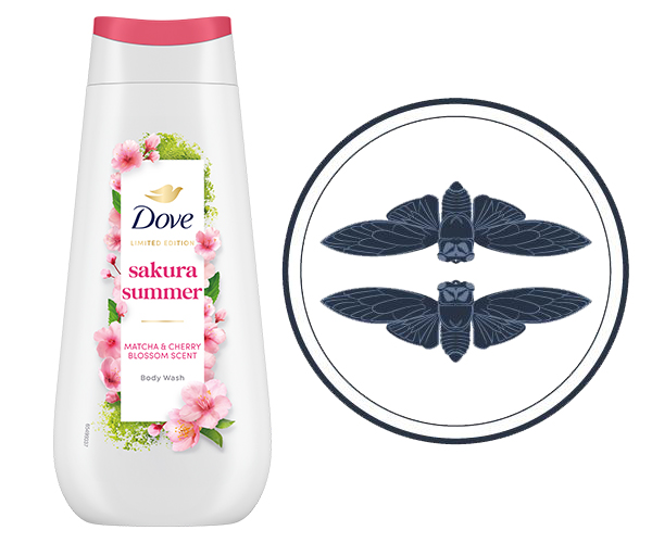 3_dove_21626