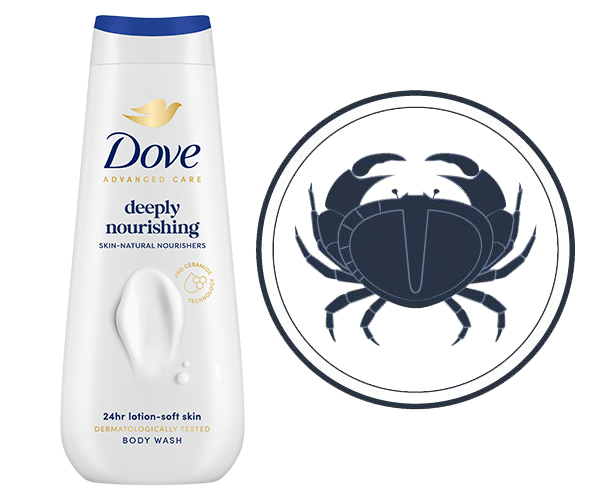 4_dove_21626