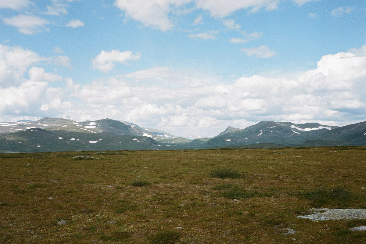 4_nila_fenclova