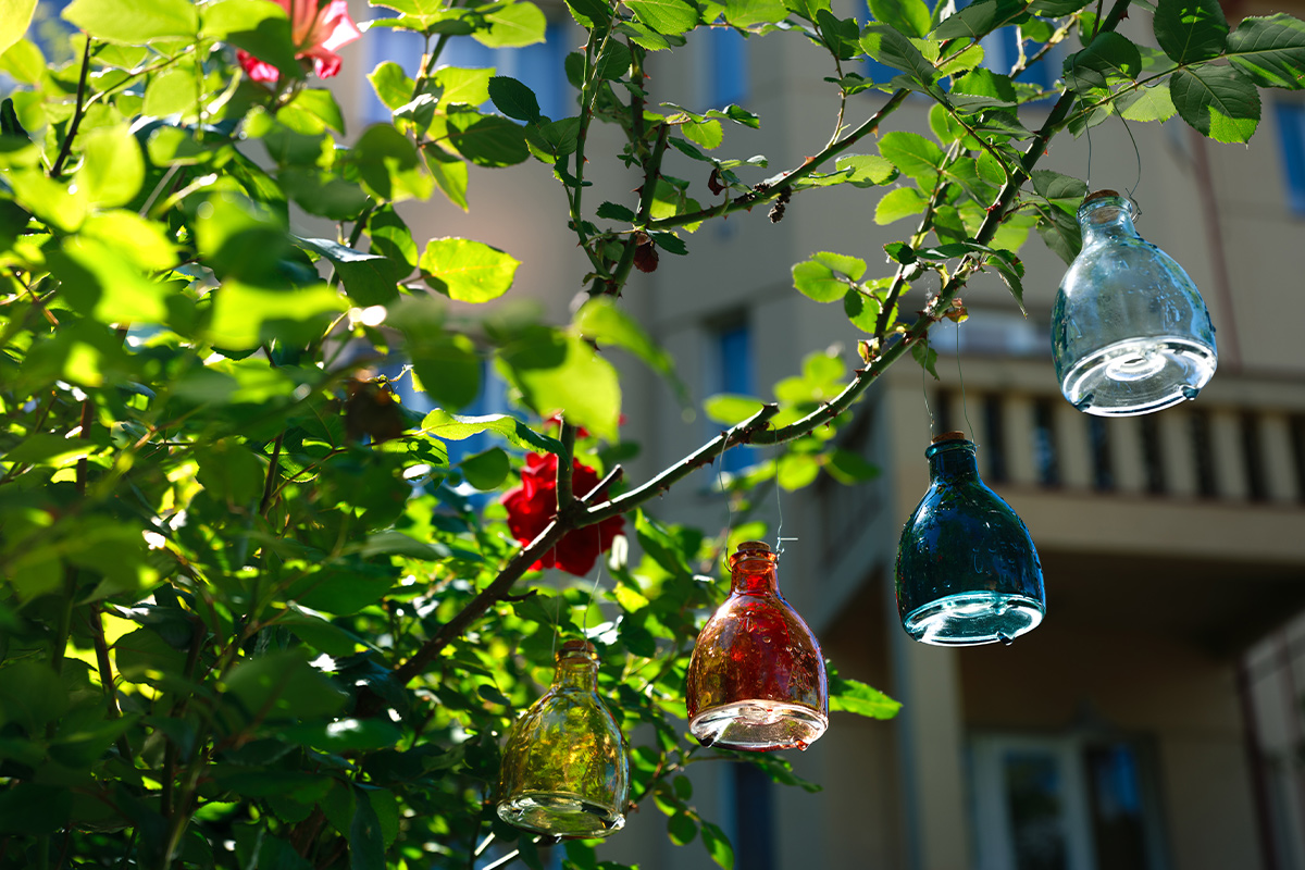 5_asko_6724