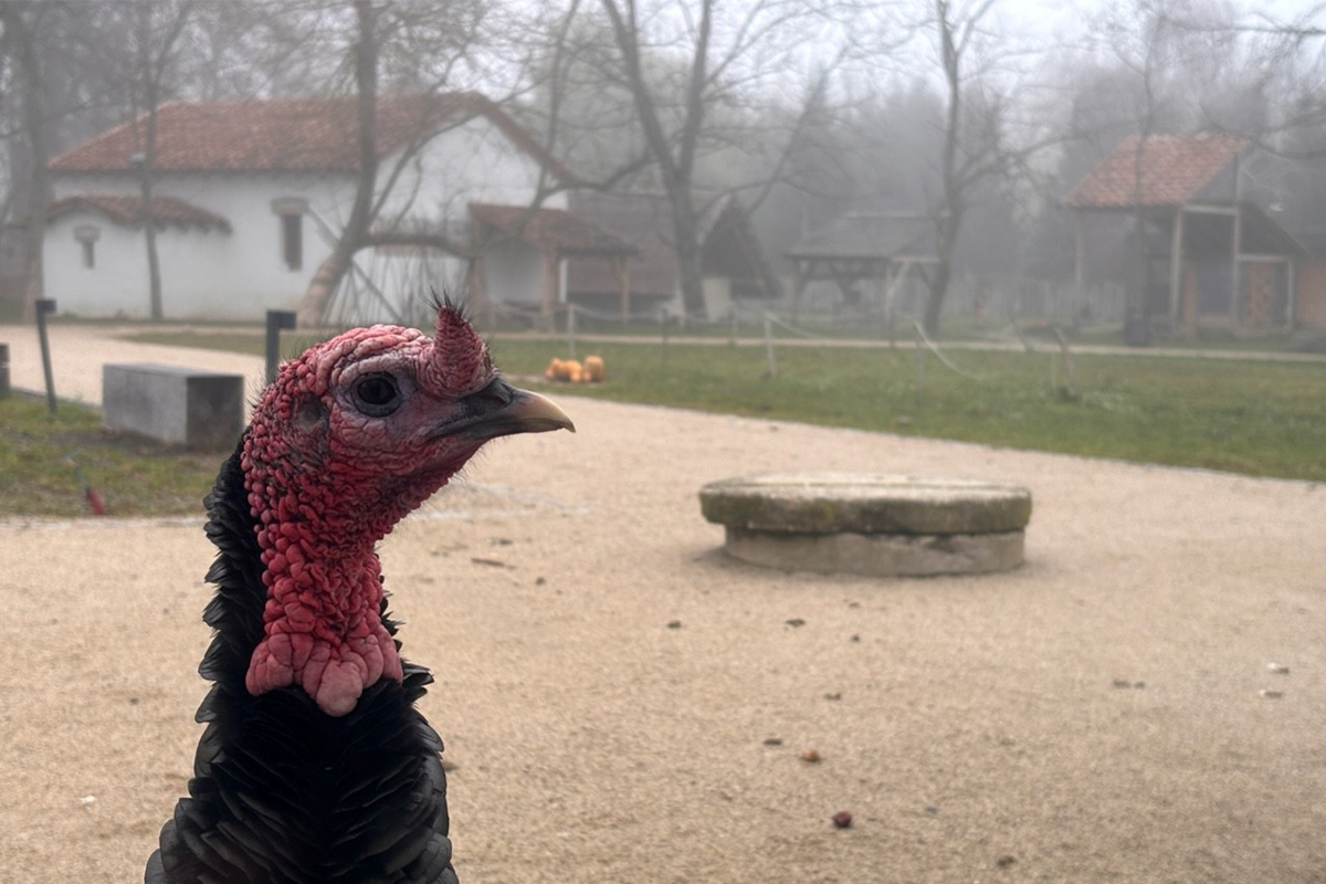 archeopark_cifer_pac