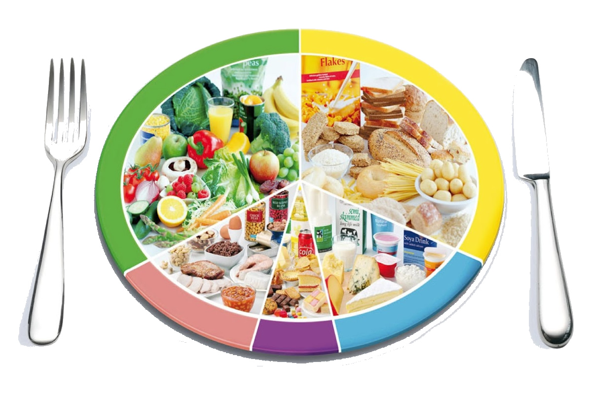 health plate 1200x800