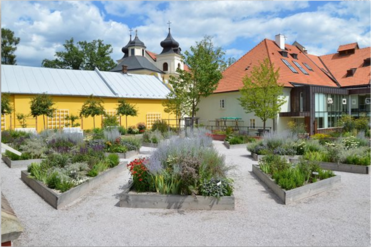 kuks_jan_spelda