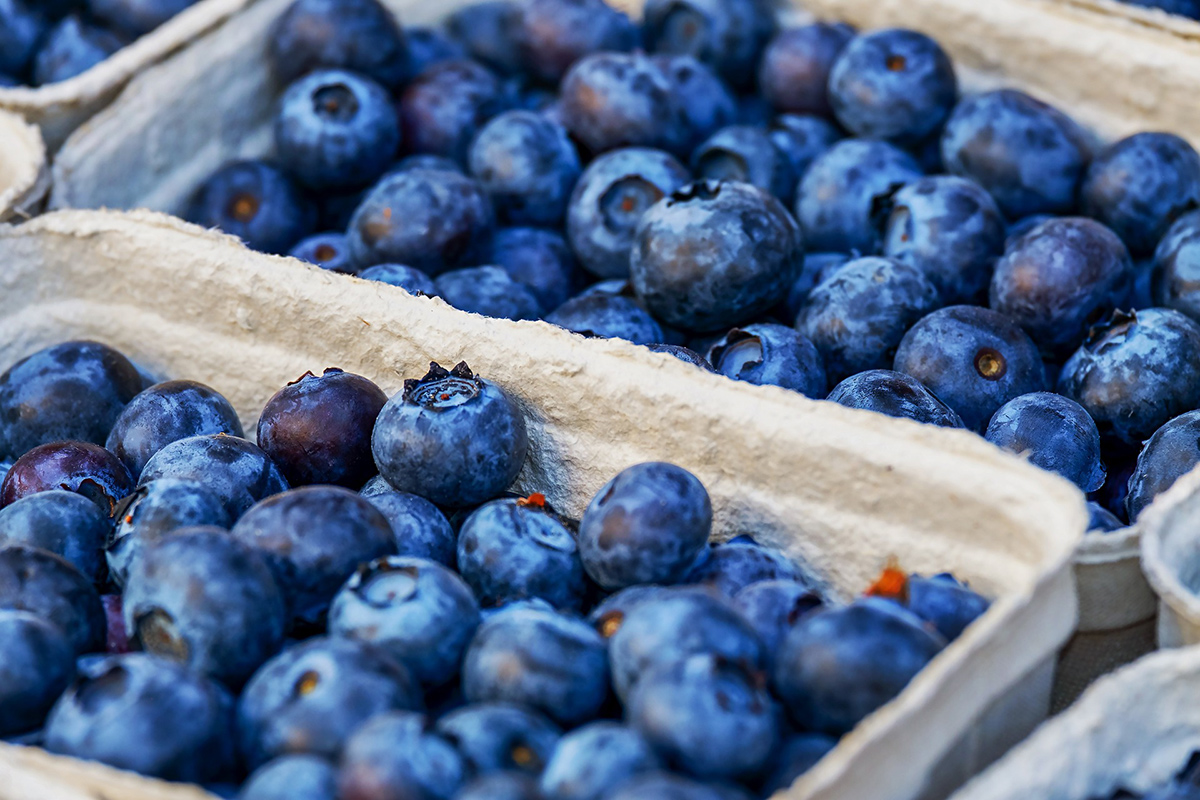 pexels_blueberries23