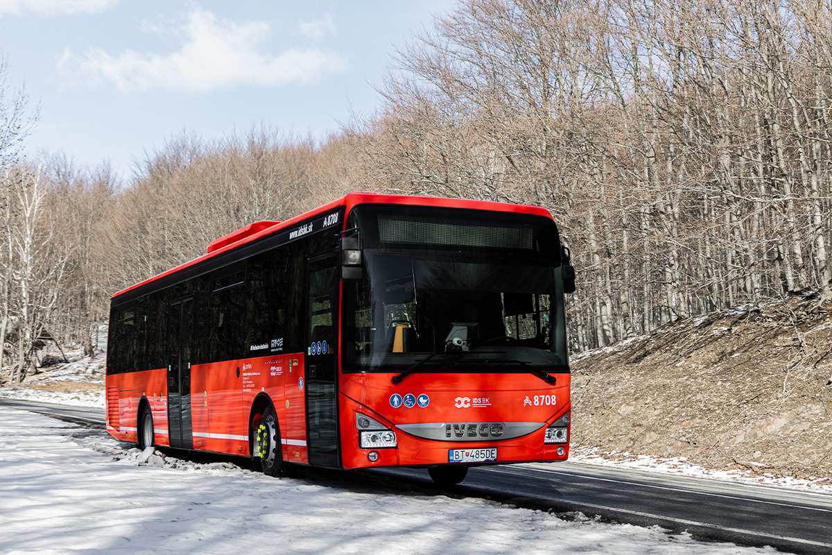 regio_bus_sneh_26