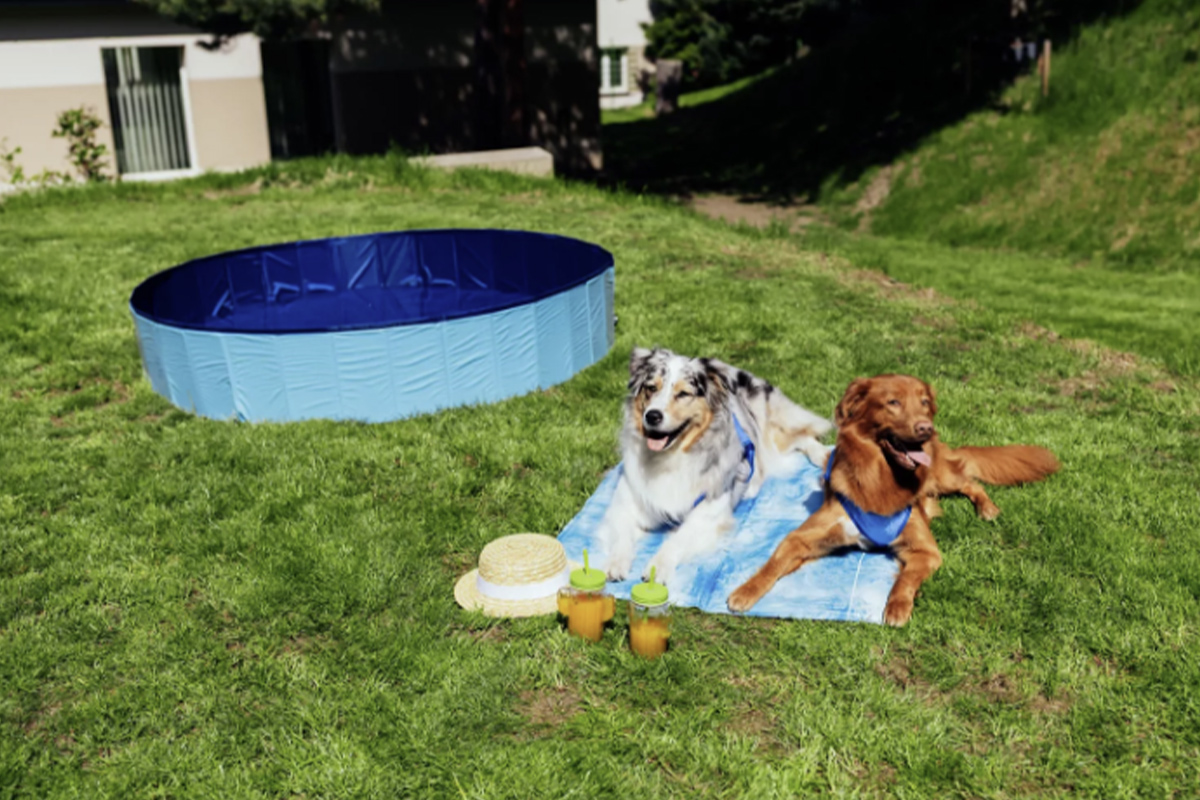 superzoo_3825