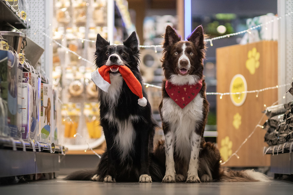 superzoo_zbierka_1225