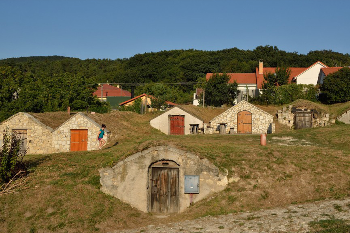 tokajpivnice_19626
