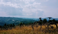 Poistenie bicykla má limity