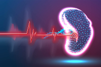 Podpora obličiek v zime