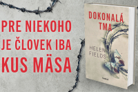 Dokonalá tma - najdesivejšia kniha Helen Fieldsovej