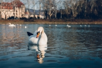 Jeden tip na dovolenku na Slovensku