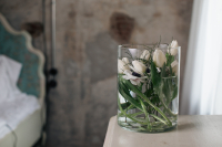 Svieži vietor do interiéru