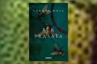 Rok prasaťa
