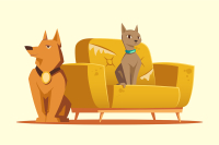 Ako vytvoriť zdravý domov aj pre vašich miláčikov