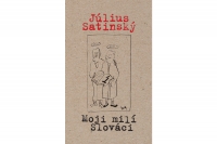 Nadčasové listy Júliusa Satinského rodákom