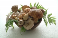 Jesenné menu z plodov prírody