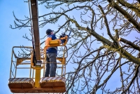 Výškové práce, ktoré chránia exteriér rodinného domu a záhradu