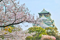 Japonsko láka na EXPO, pláže a lacnejšie letenky menia cestovné mapy